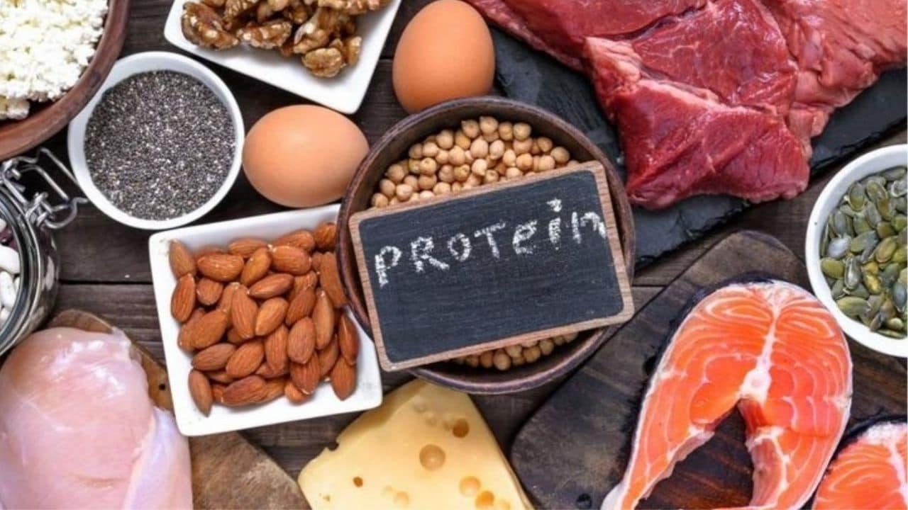 Kas Yapımında Proteinin Önemi